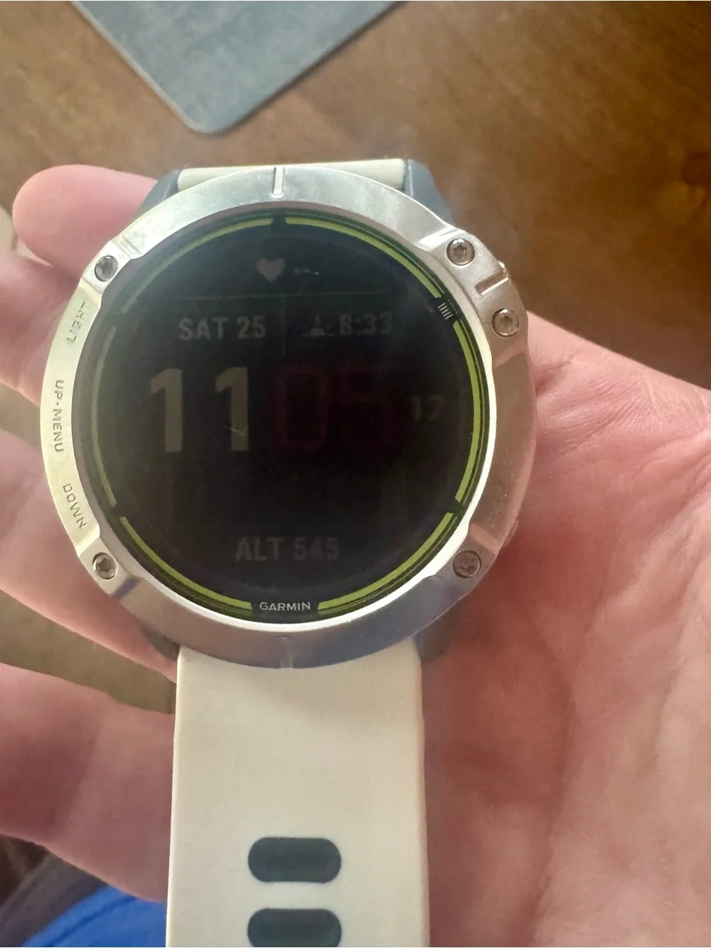 Garmin Enduro and Charger